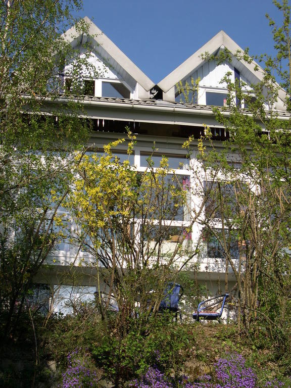 Gesundheitshotel Haus Sonnenstein ซาเลม ภายนอก รูปภาพ